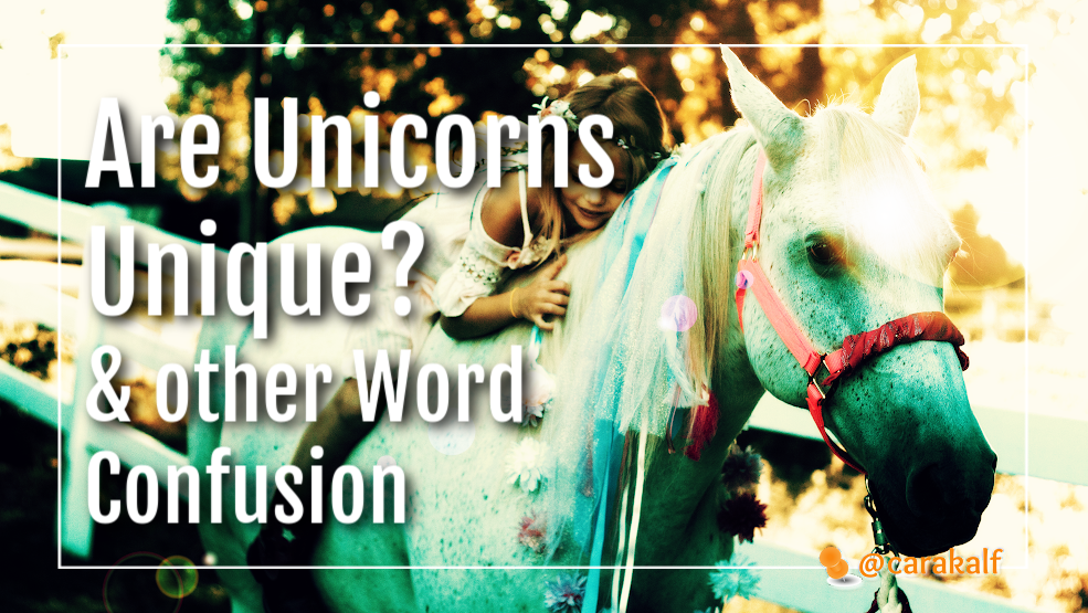 Unicorns Are Not Unique, or No Such Thing as a Synonym